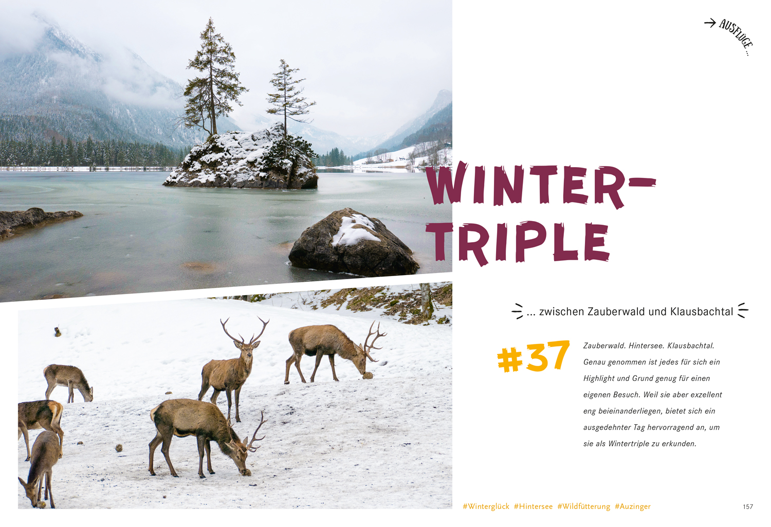 9783770180882_innenansicht_11 9783770180882_innenansicht_11.jpg