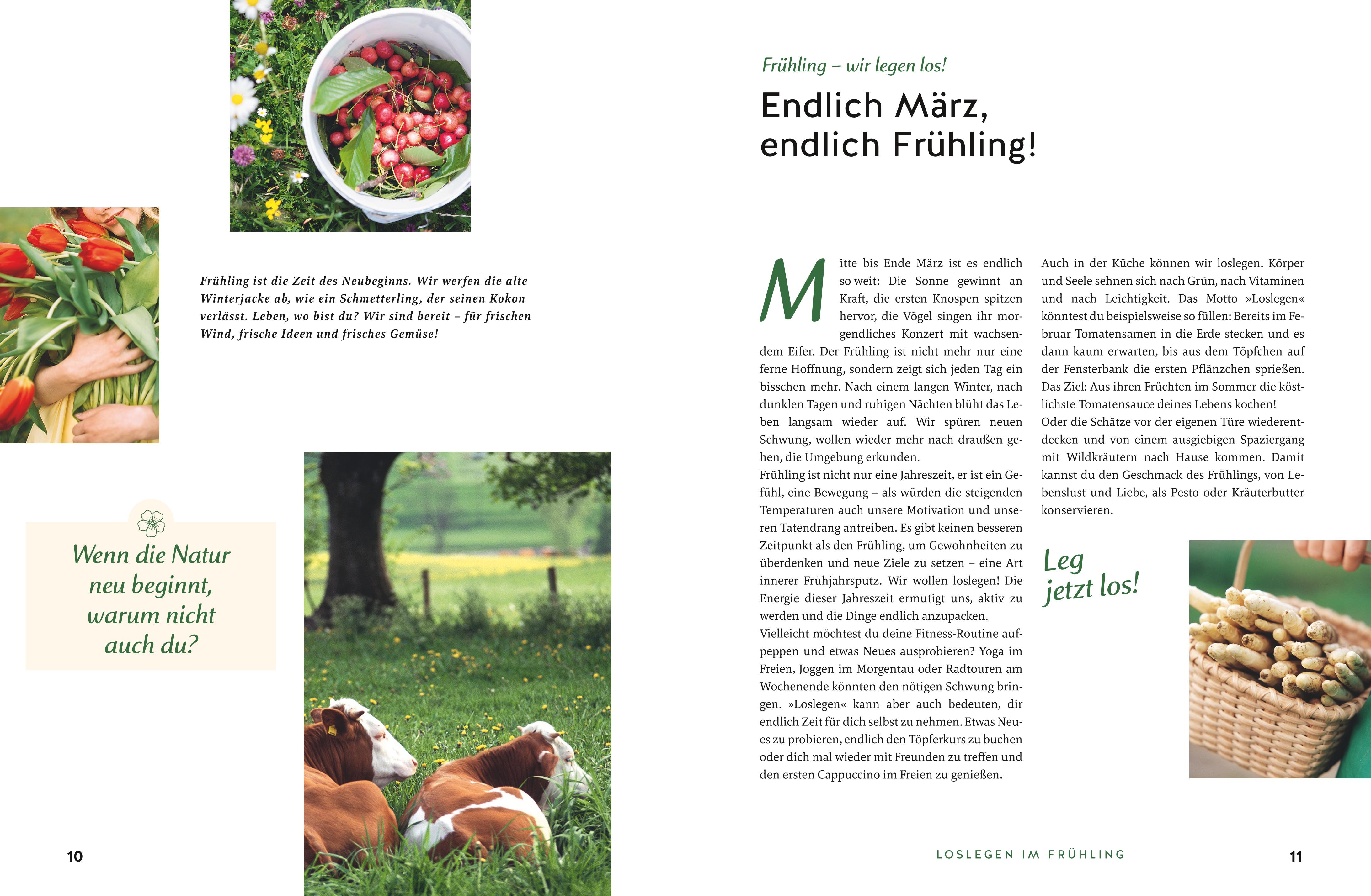 9783833893278_innenansicht_04 9783833893278_innenansicht_04.jpg