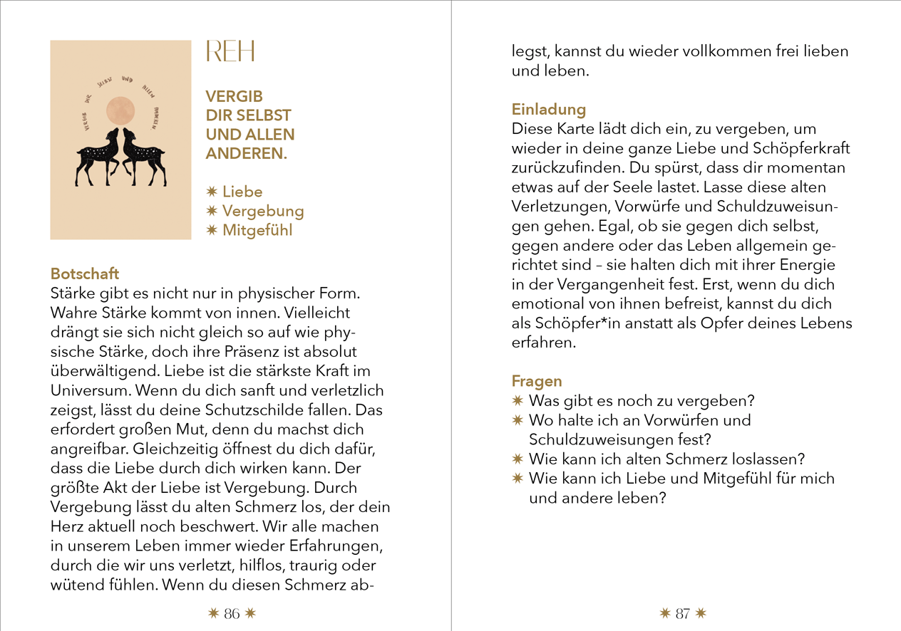 9783949822087_innenansicht_07.png