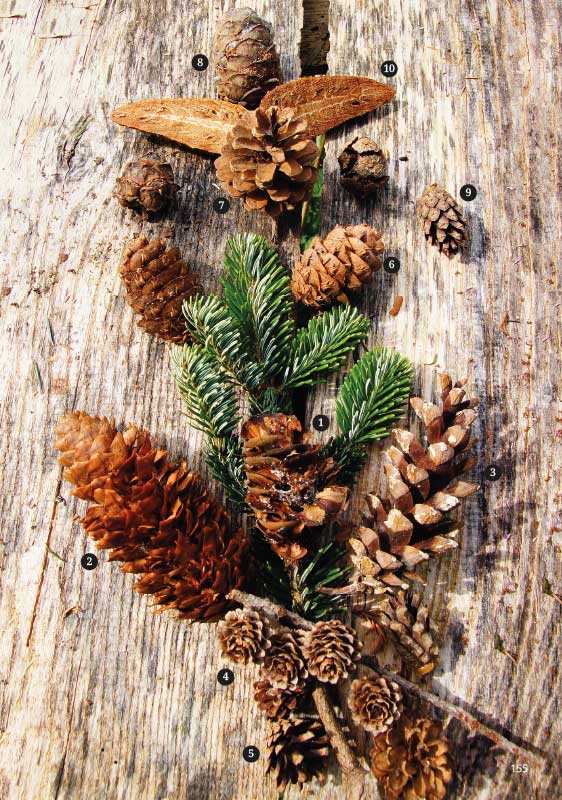 9783945419106_innenansicht_14 9783945419106_innenansicht_14.jpg