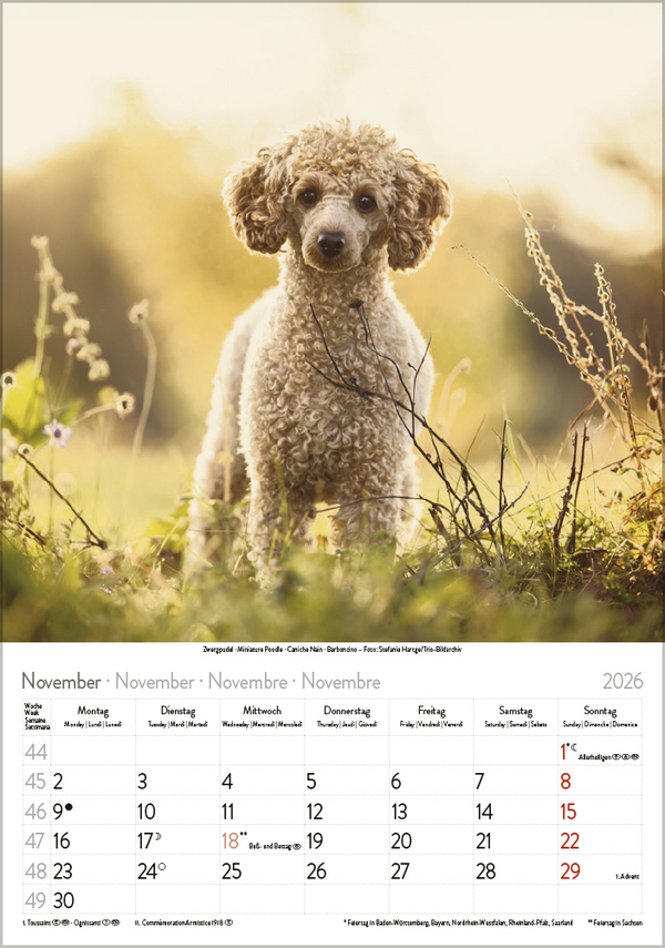 9783731883616_innenansicht_11 9783731883616_innenansicht_11.jpg