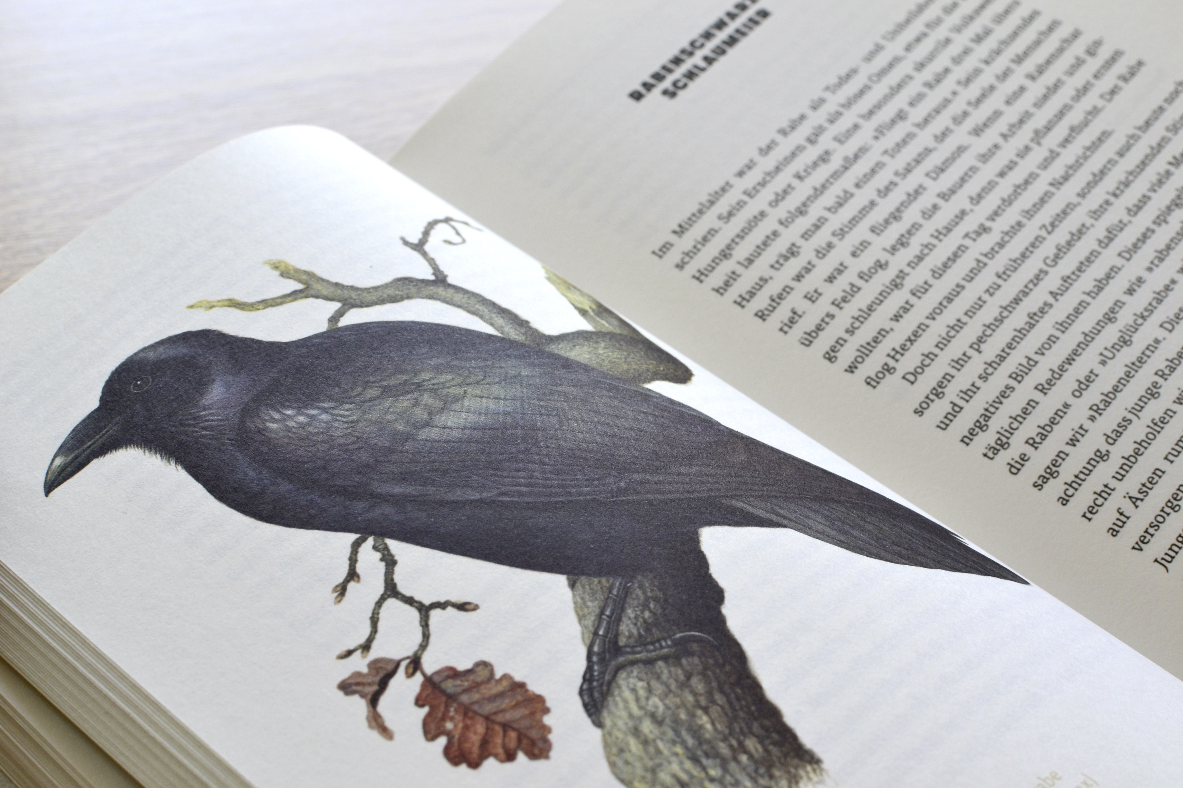 9783847900658_innenansicht_11.jpg 9783847900658_innenansicht_11.jpg