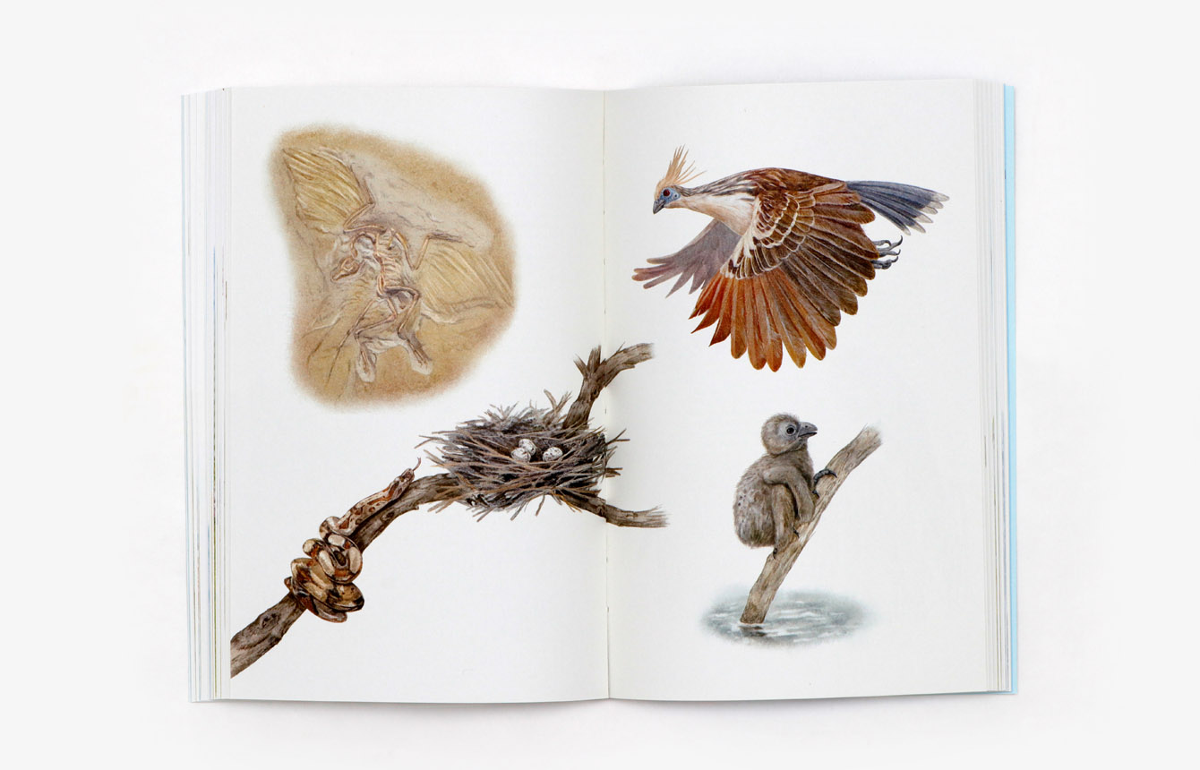 9783962443474_produktbild_08 9783962443474_produktbild_08.jpg