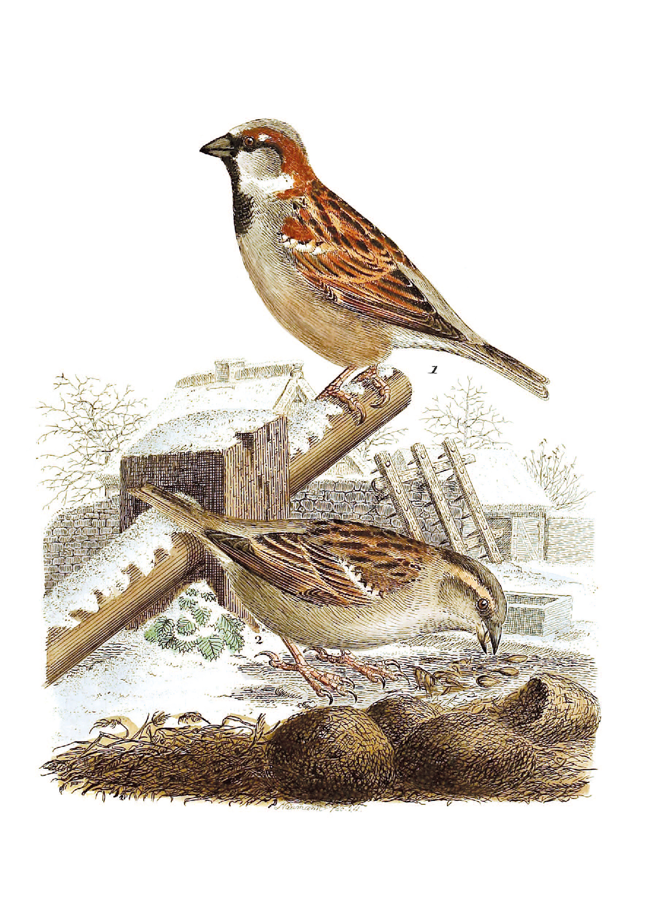 9783968492001_innenansicht_02 9783968492001_innenansicht_02.jpg