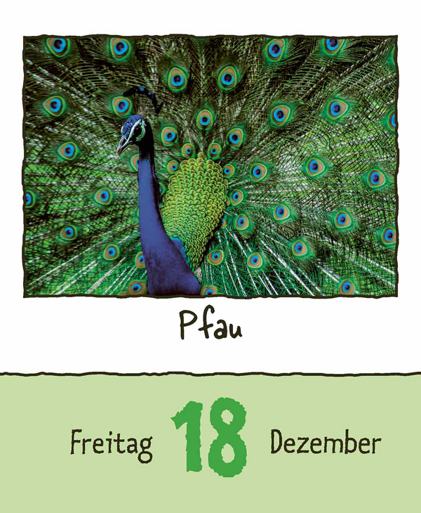 9783731889182_innenansicht_16.jpg