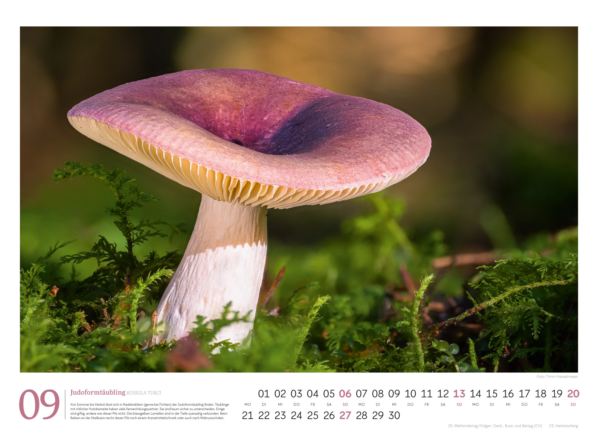 9783838436333_innenansicht_09 9783838436333_innenansicht_09.jpg