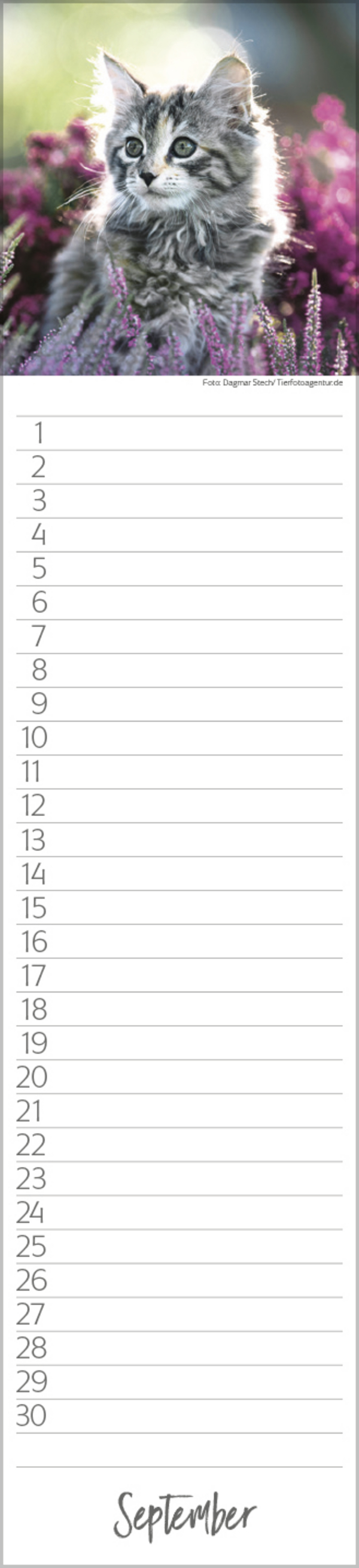 9783731887638_innenansicht_09 9783731887638_innenansicht_09.jpg