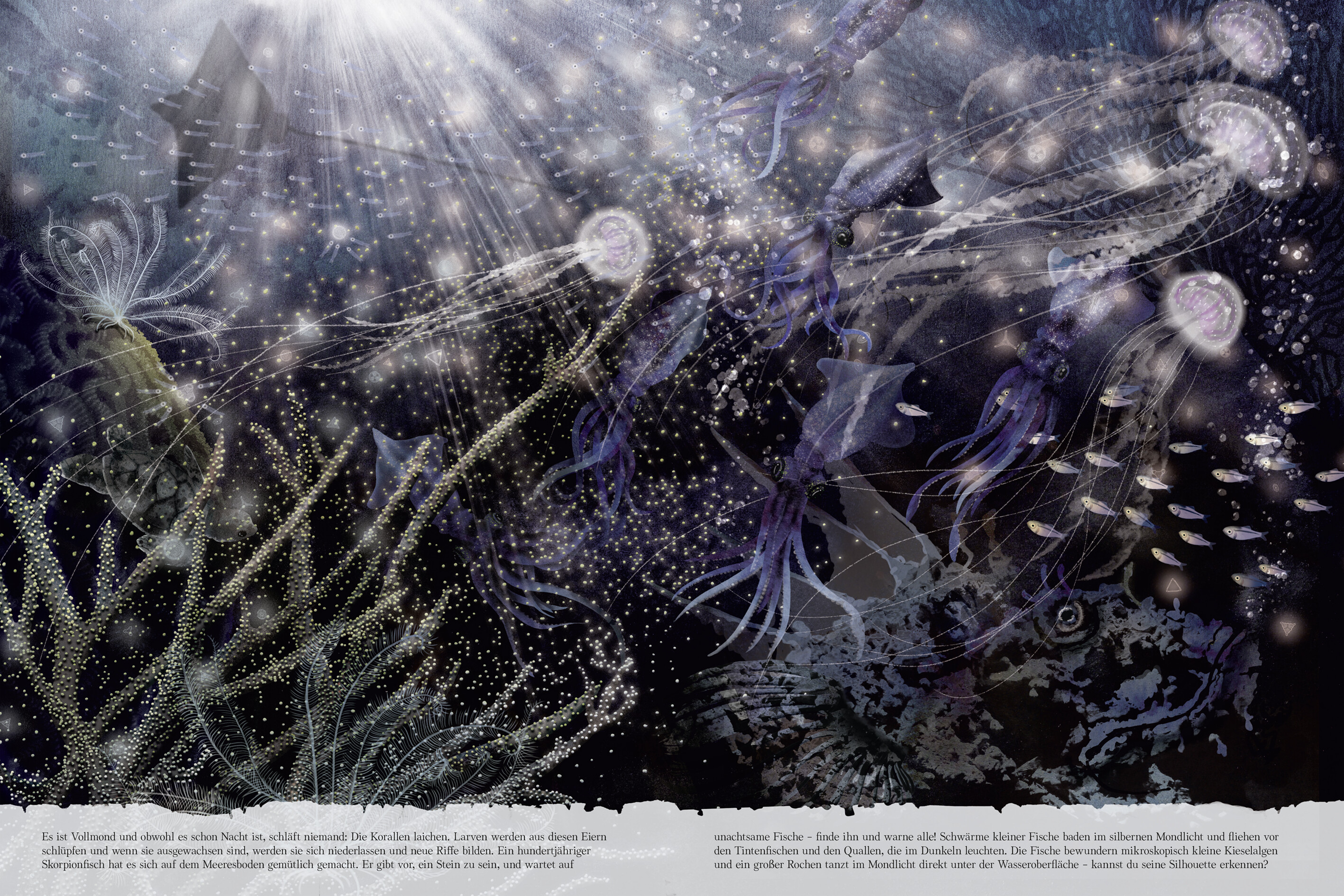 9783629010728_innenansicht_03 9783629010728_innenansicht_03.jpg