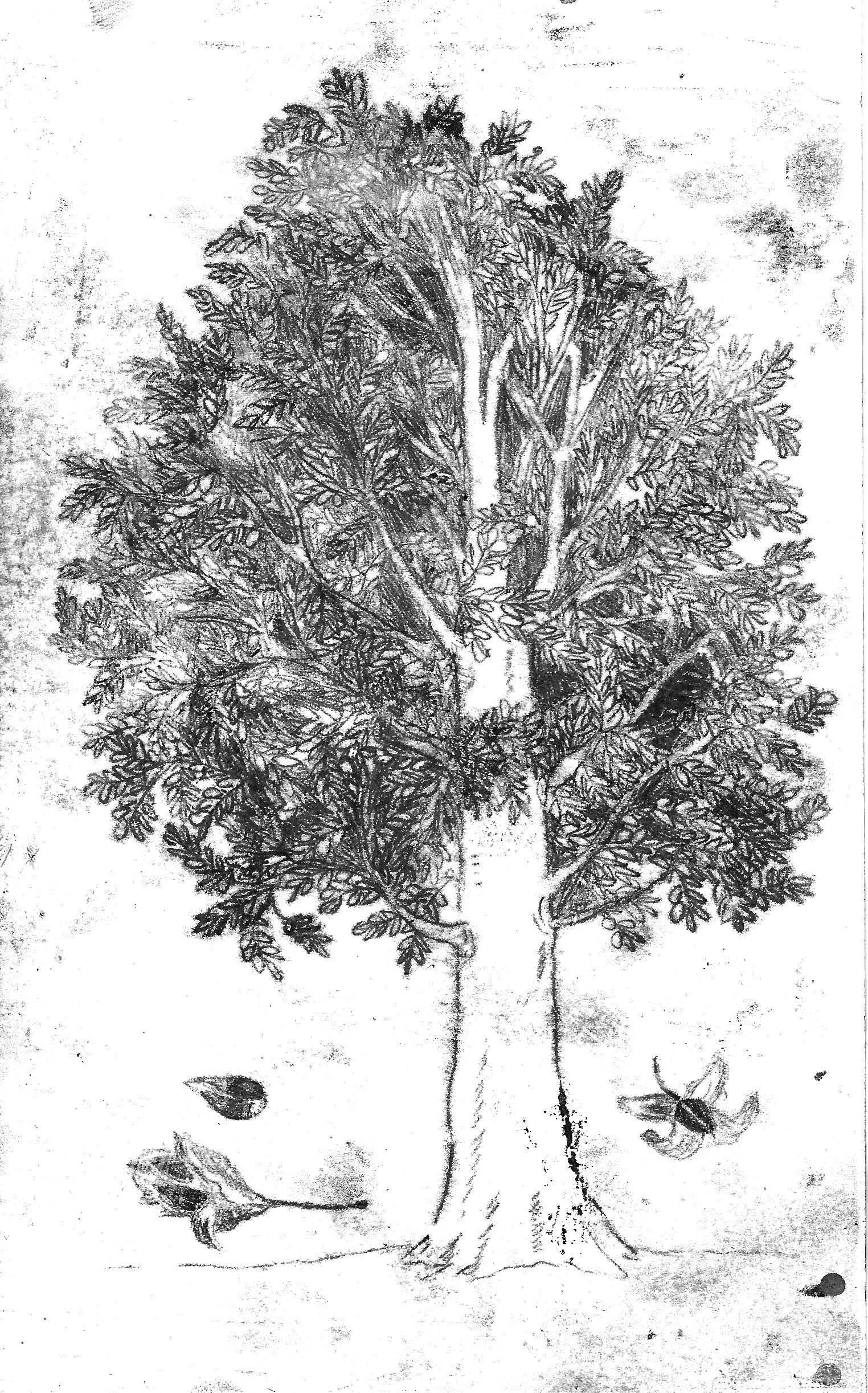 9783990591307_produktbild_01.jpg