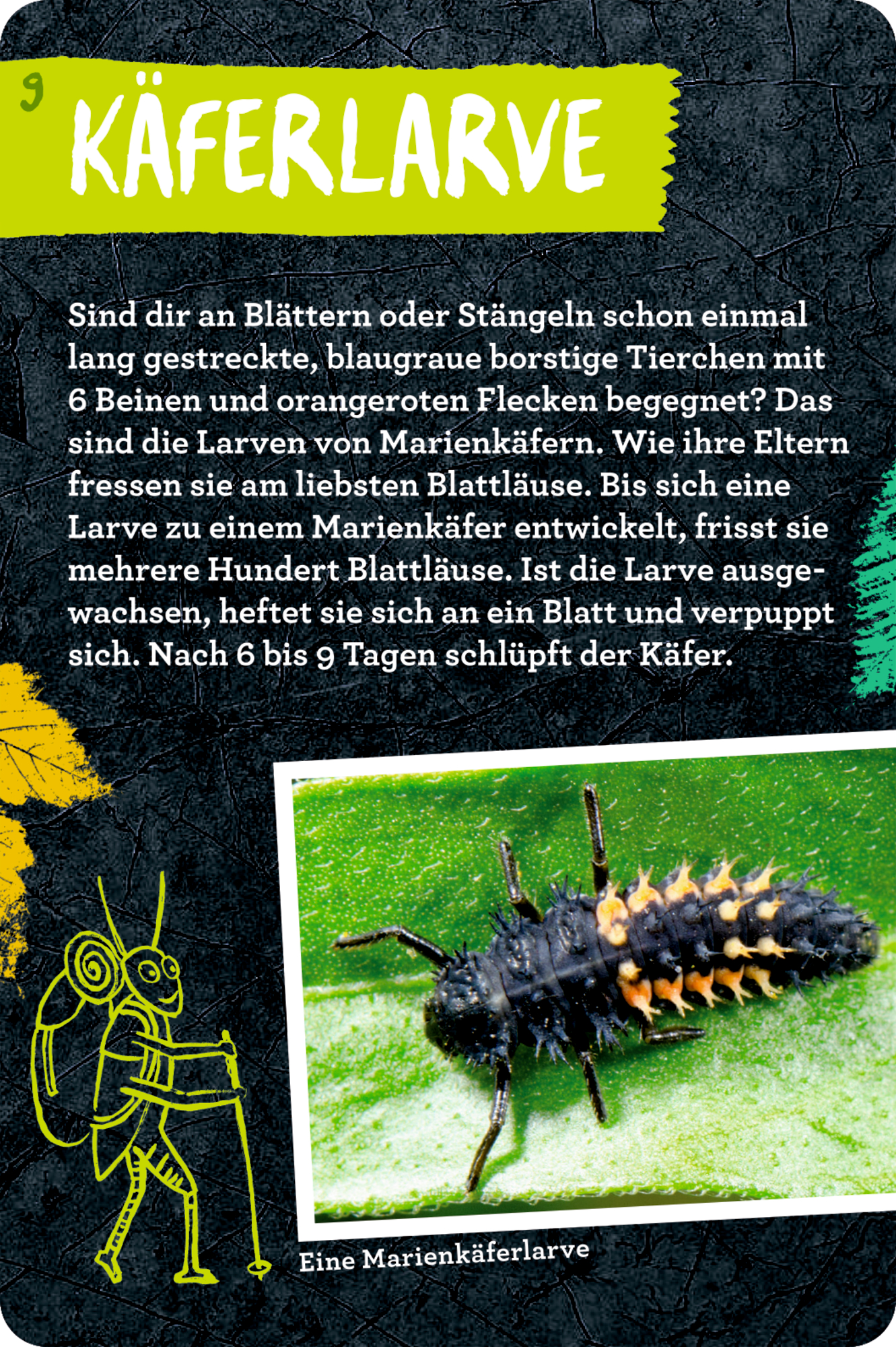 9783649647300_innenansicht_03.jpg
