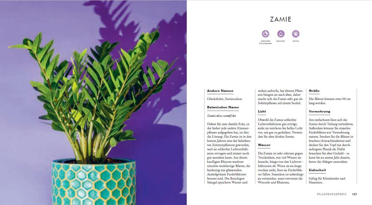 9783809441717_innenansicht_04 9783809441717_innenansicht_04.jpg