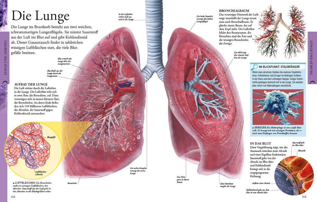 9783831022892_innenansicht_02 9783831022892_innenansicht_02.jpg
