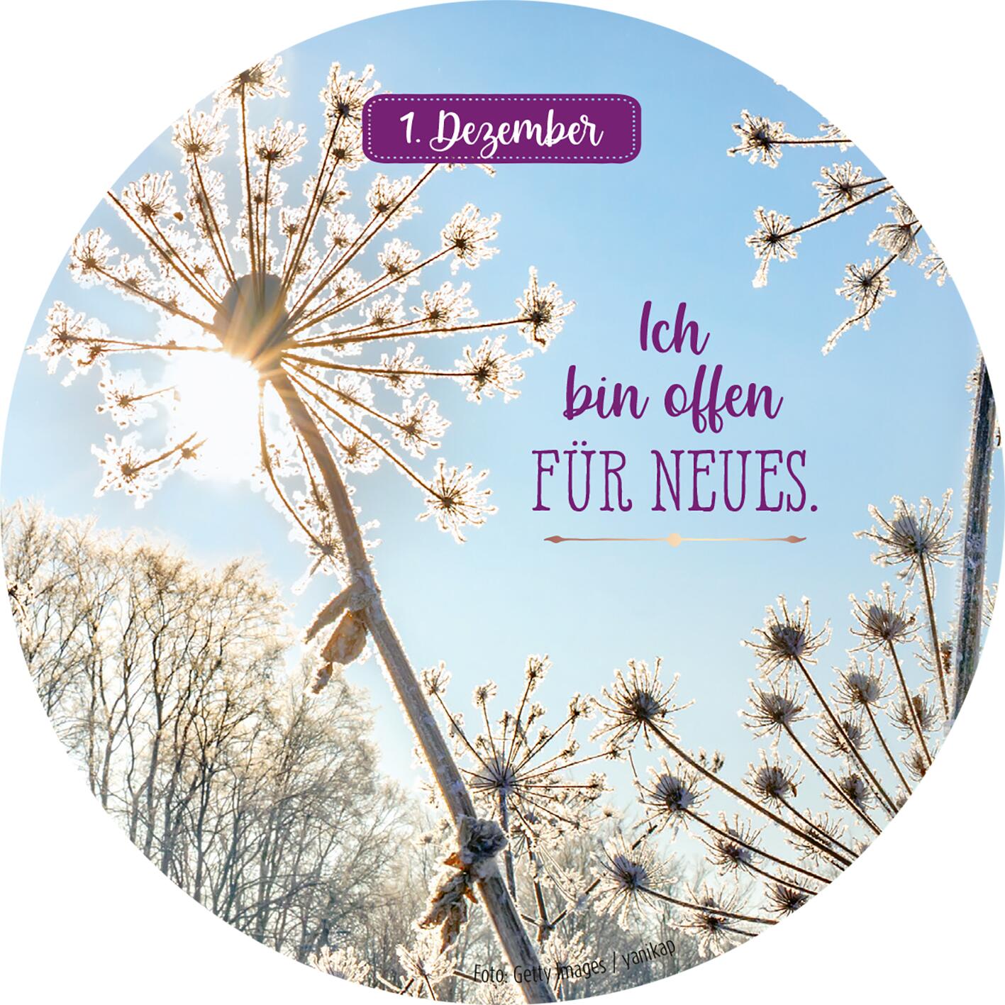 9783845854168_innenansicht_01.jpg