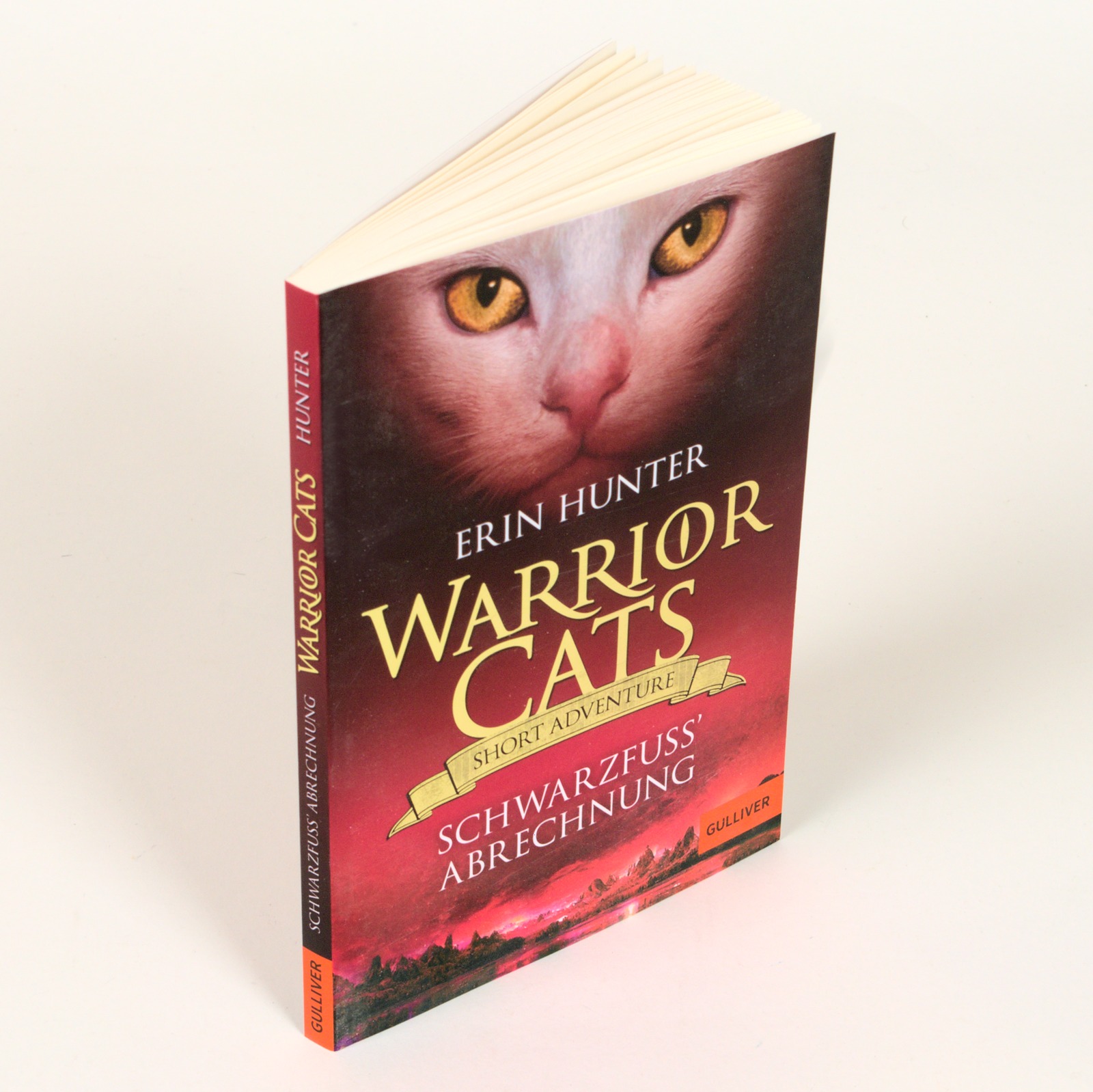 9783407813503_weiterecover_01 9783407813503_weiterecover_01.jpg