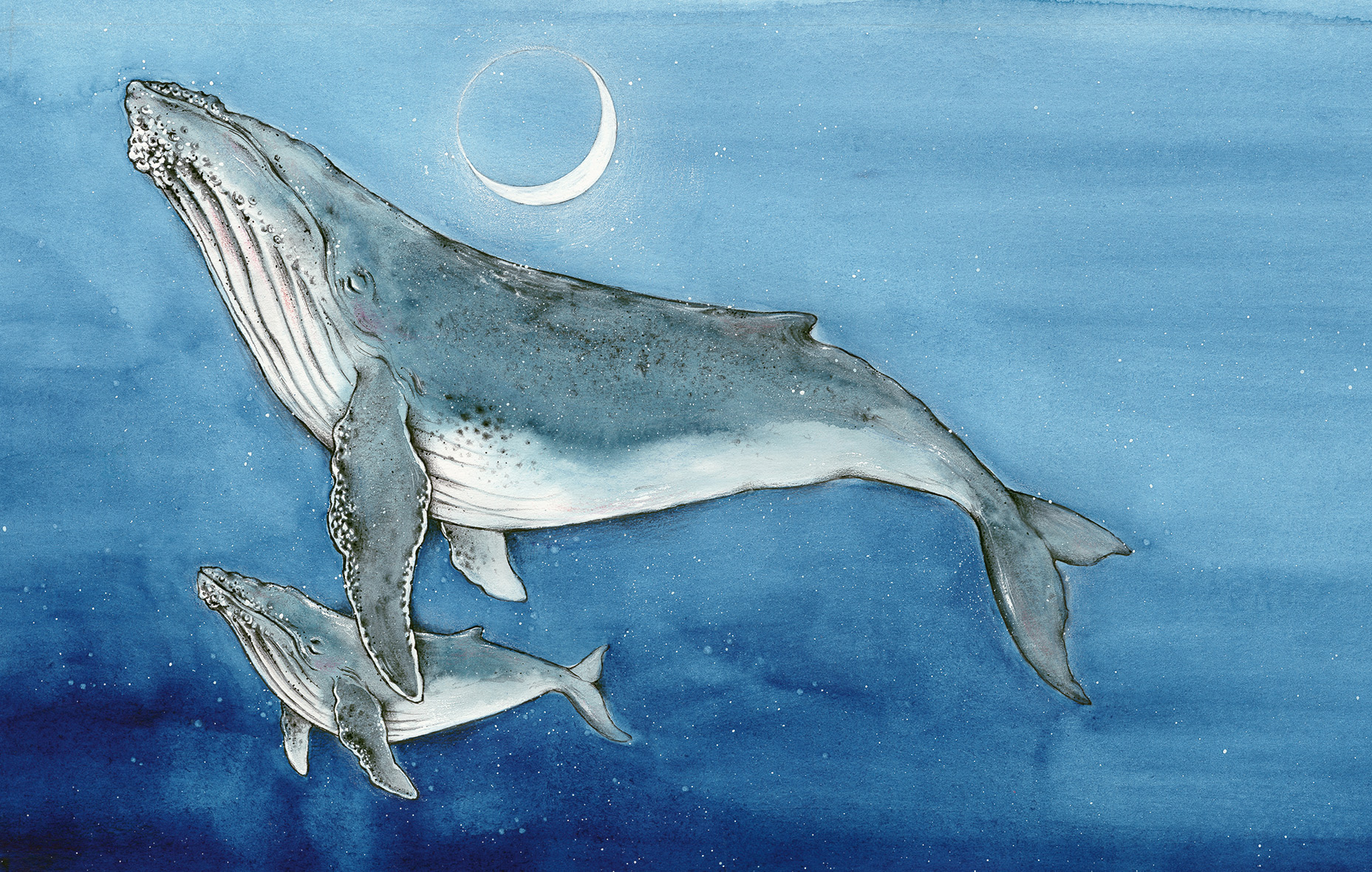 9783825153182_innenansicht_02 9783825153182_innenansicht_02.jpg