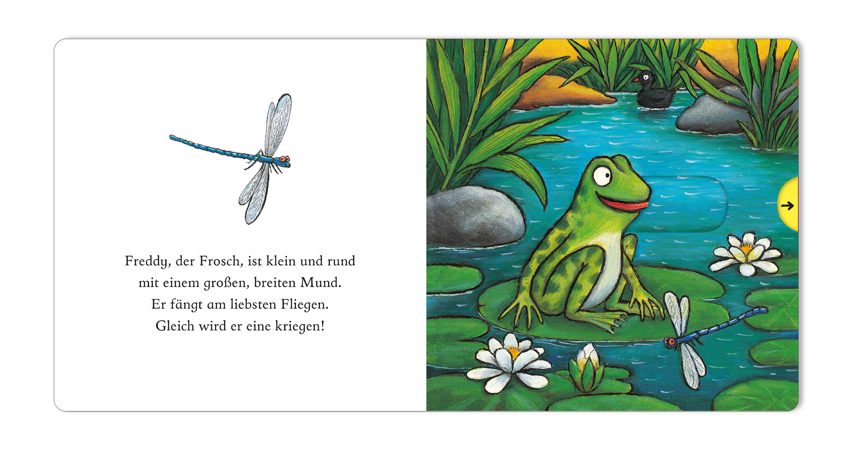 9783407759597_innenansicht_01 9783407759597_innenansicht_01.jpg