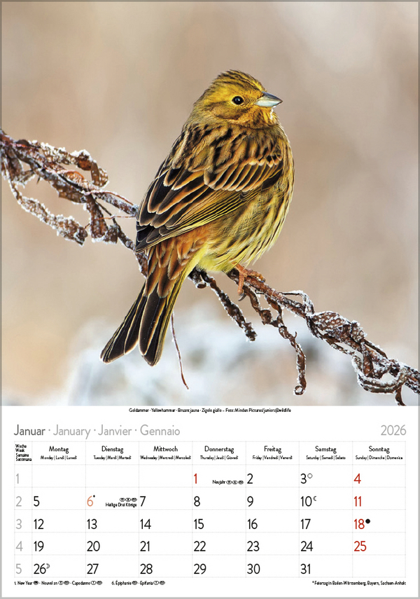 9783731883647_innenansicht_01 9783731883647_innenansicht_01.jpg