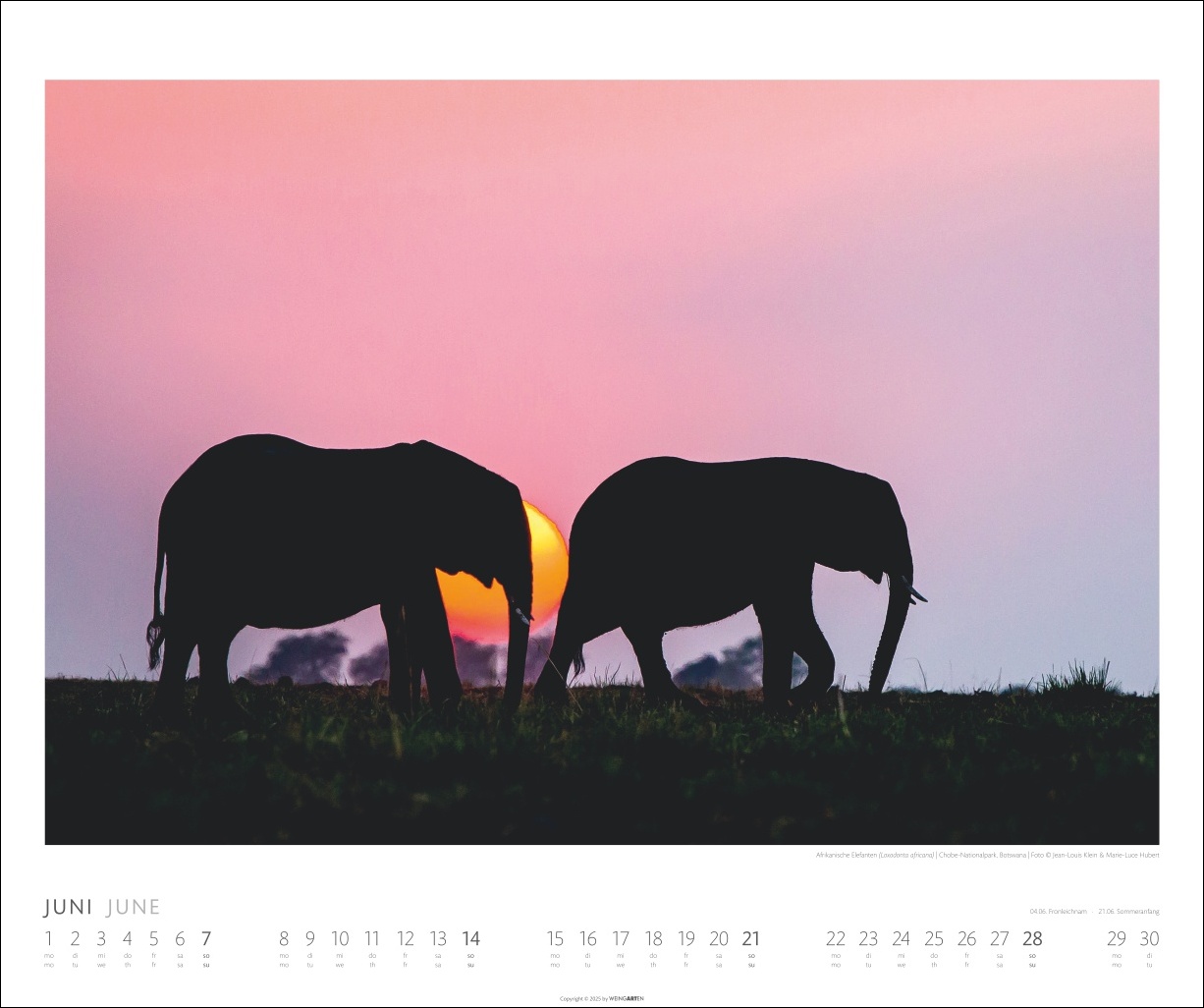 9783839901908_innenansicht_06 9783839901908_innenansicht_06.jpg