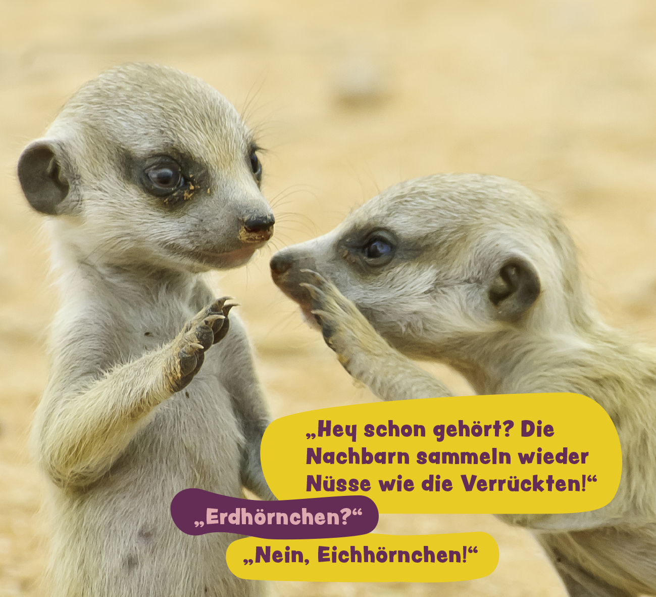 9783848502813_innenansicht_05.jpg