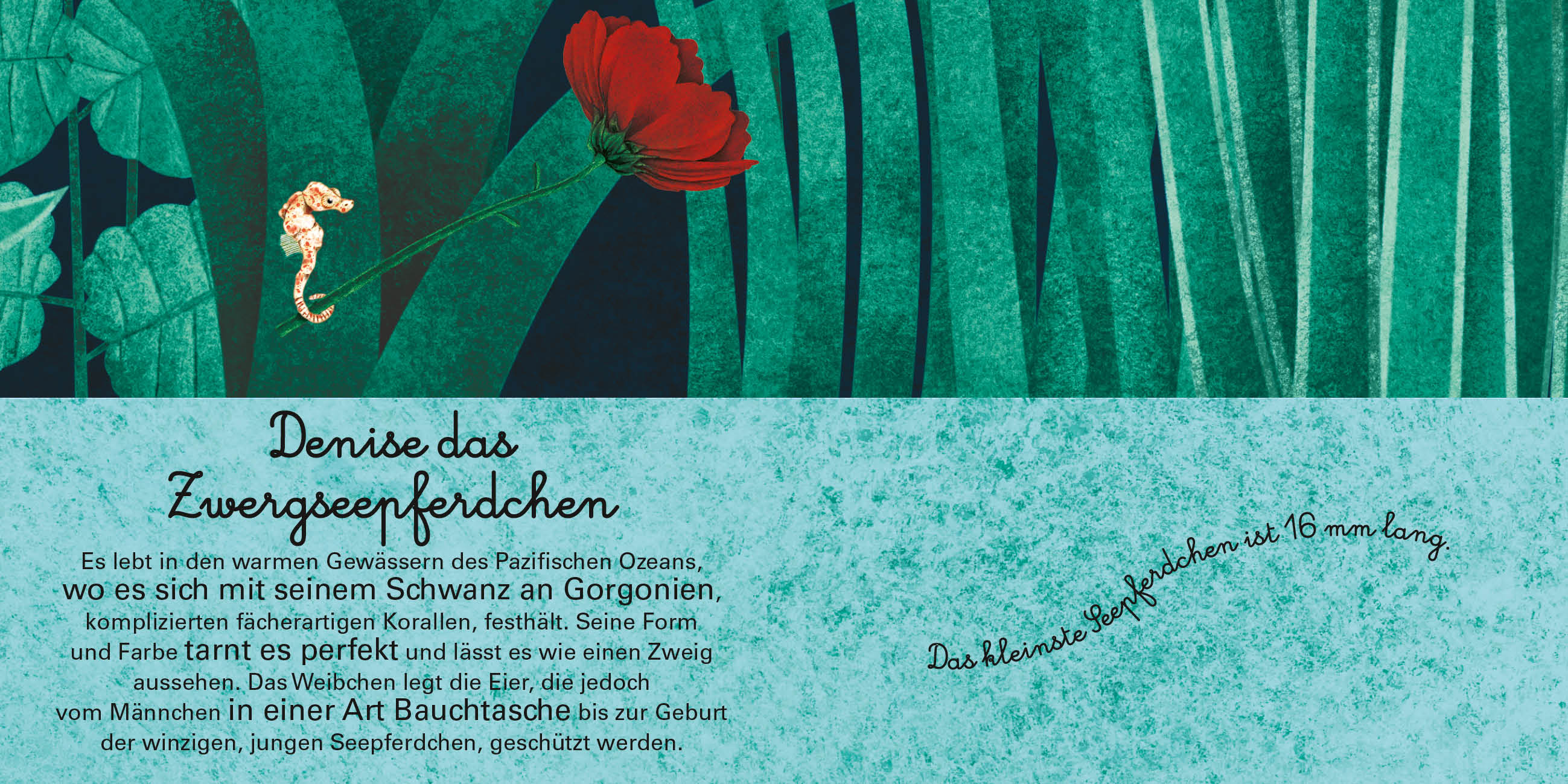 9788863125597_innenansicht_12 9788863125597_innenansicht_12.jpg