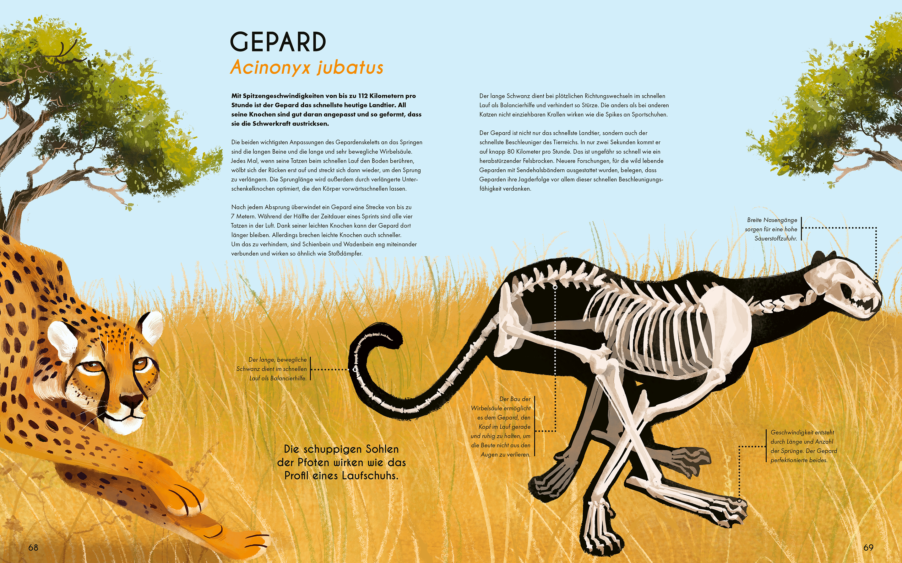 9783734860850_innenansicht_02 9783734860850_innenansicht_02.jpg