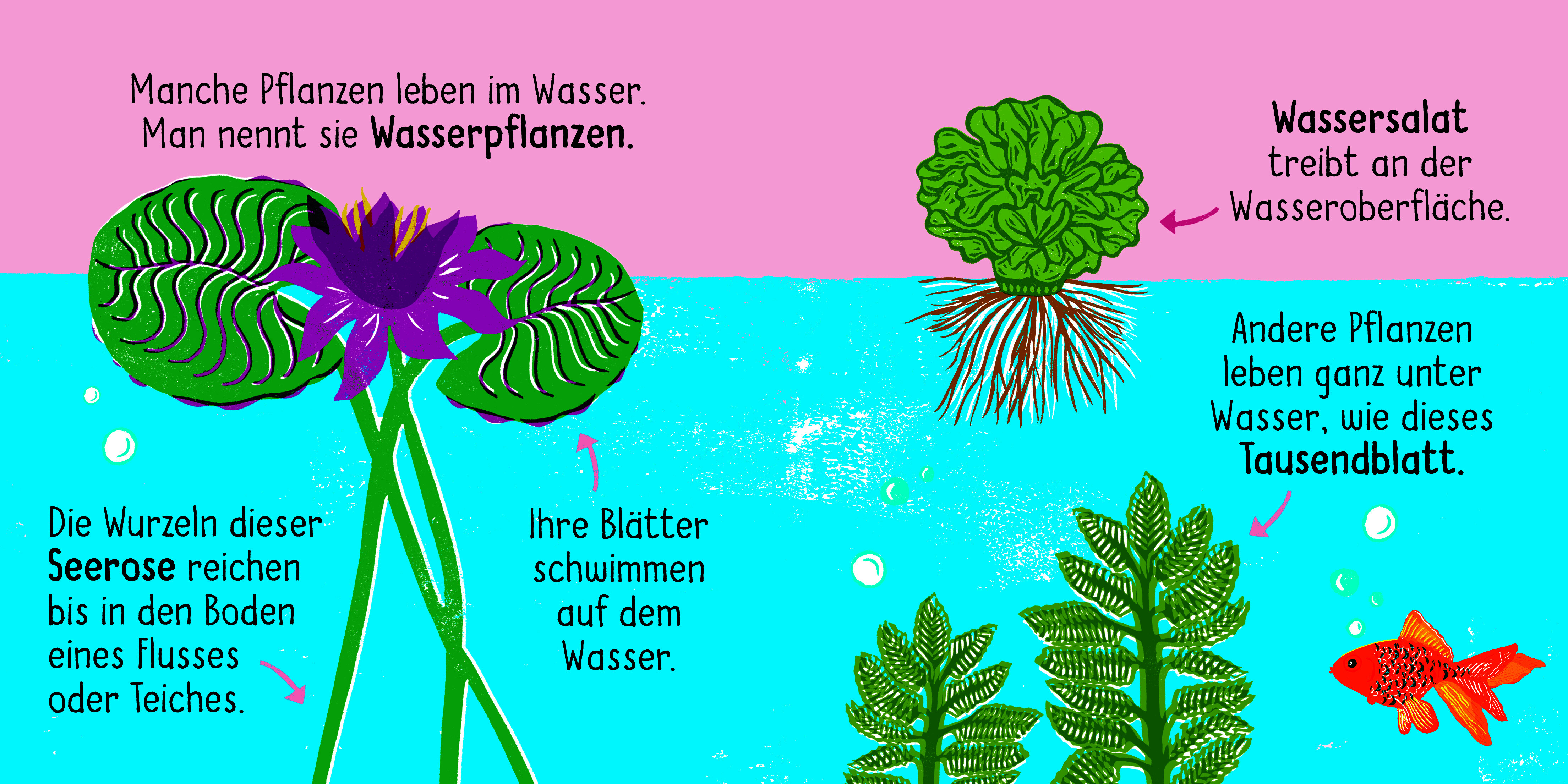 9783411708468_innenansicht_02.jpg