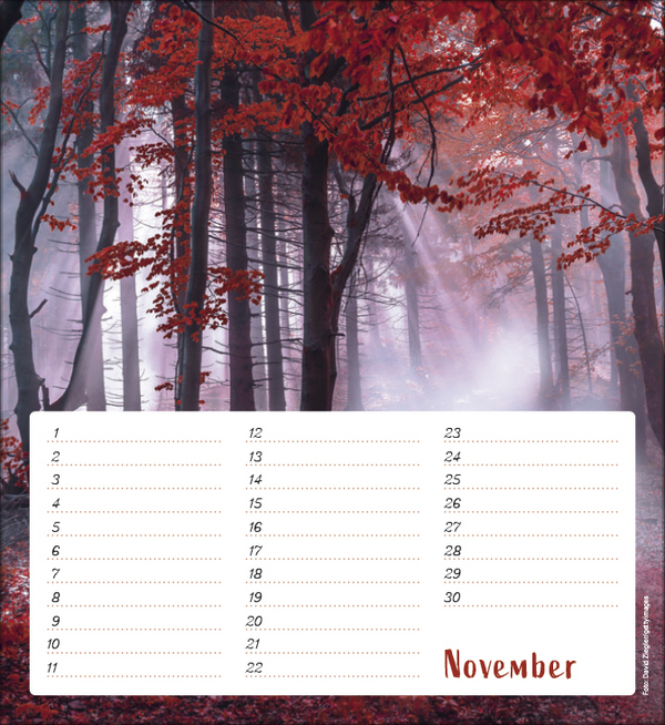 9783731890324_innenansicht_11 9783731890324_innenansicht_11.jpg