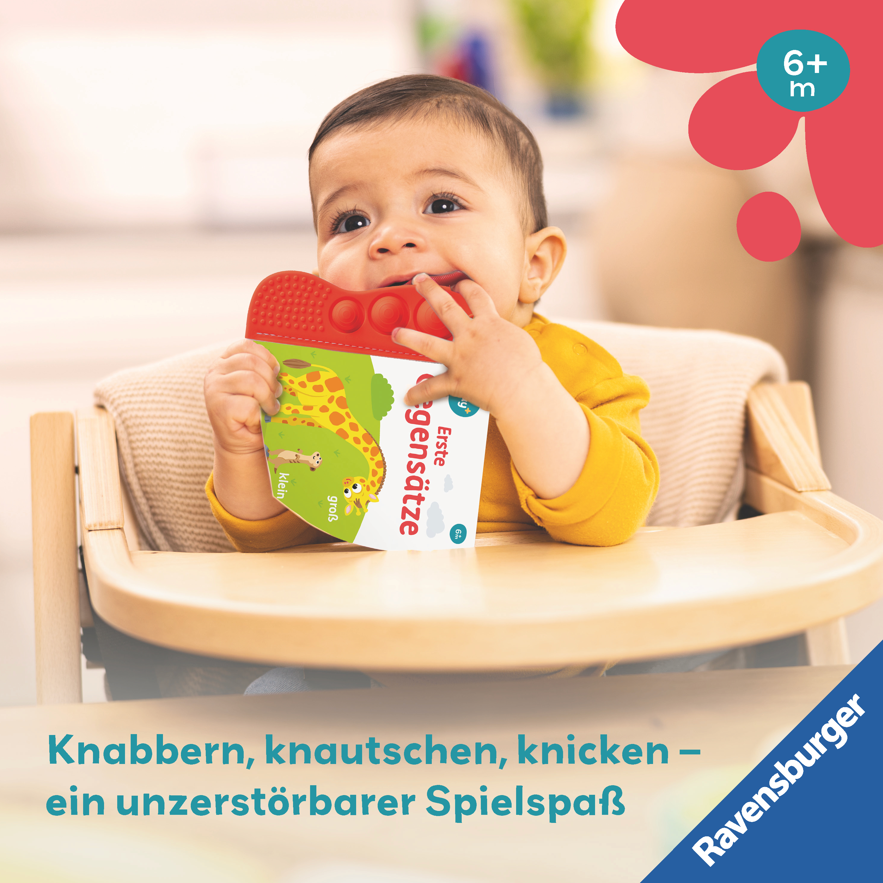9783473456338_innenansicht_02.jpg
