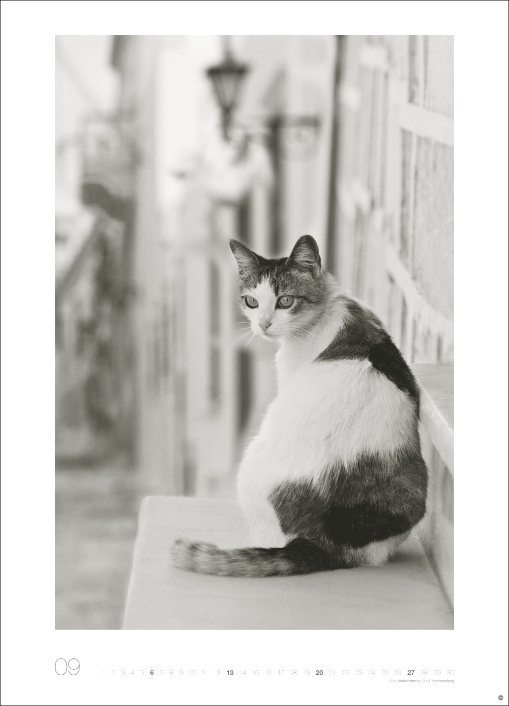 9783756411313_innenansicht_09 9783756411313_innenansicht_09.jpg