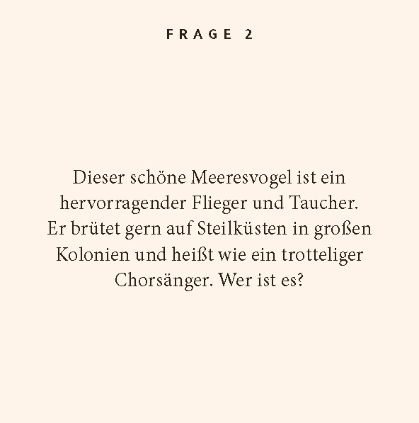 9783899784787_innenansicht_03.jpg