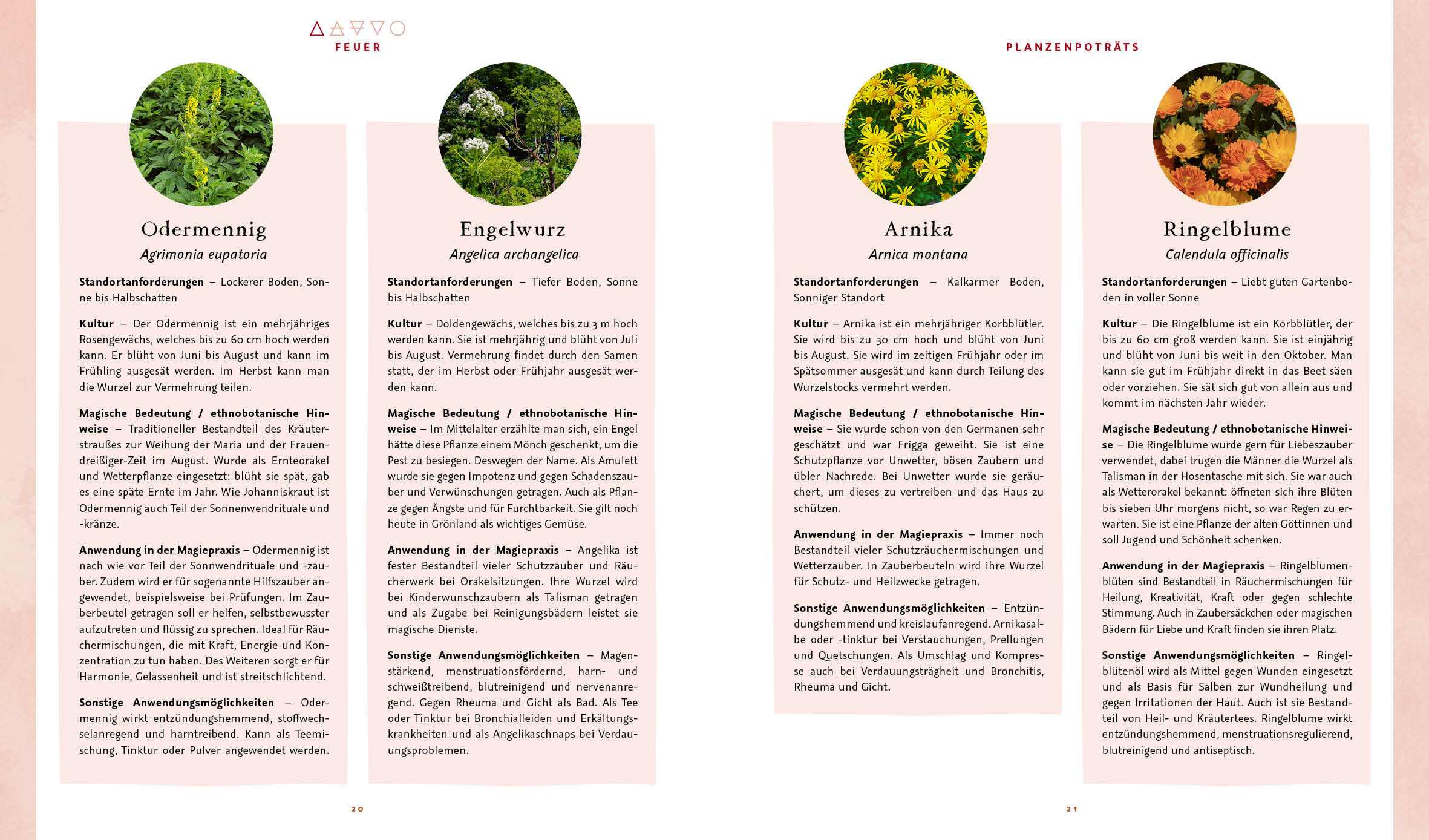 9783745916225_innenansicht_02 9783745916225_innenansicht_02.jpg