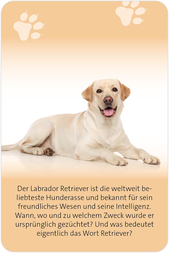 9783964553607_innenansicht_01.jpg