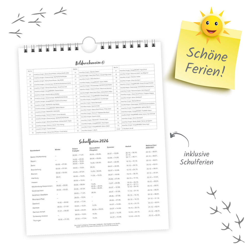 9783988024374_innenansicht_04 9783988024374_innenansicht_04.jpg