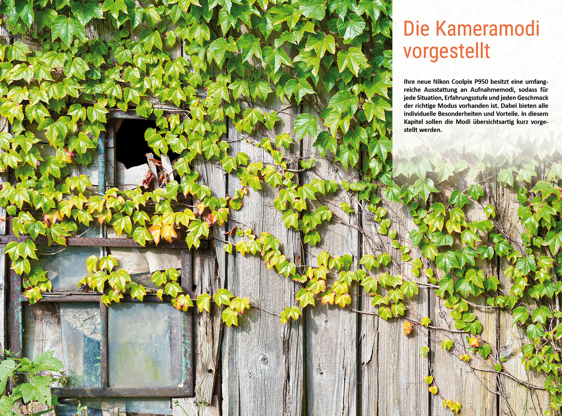 9783832804121_innenansicht_01.jpg