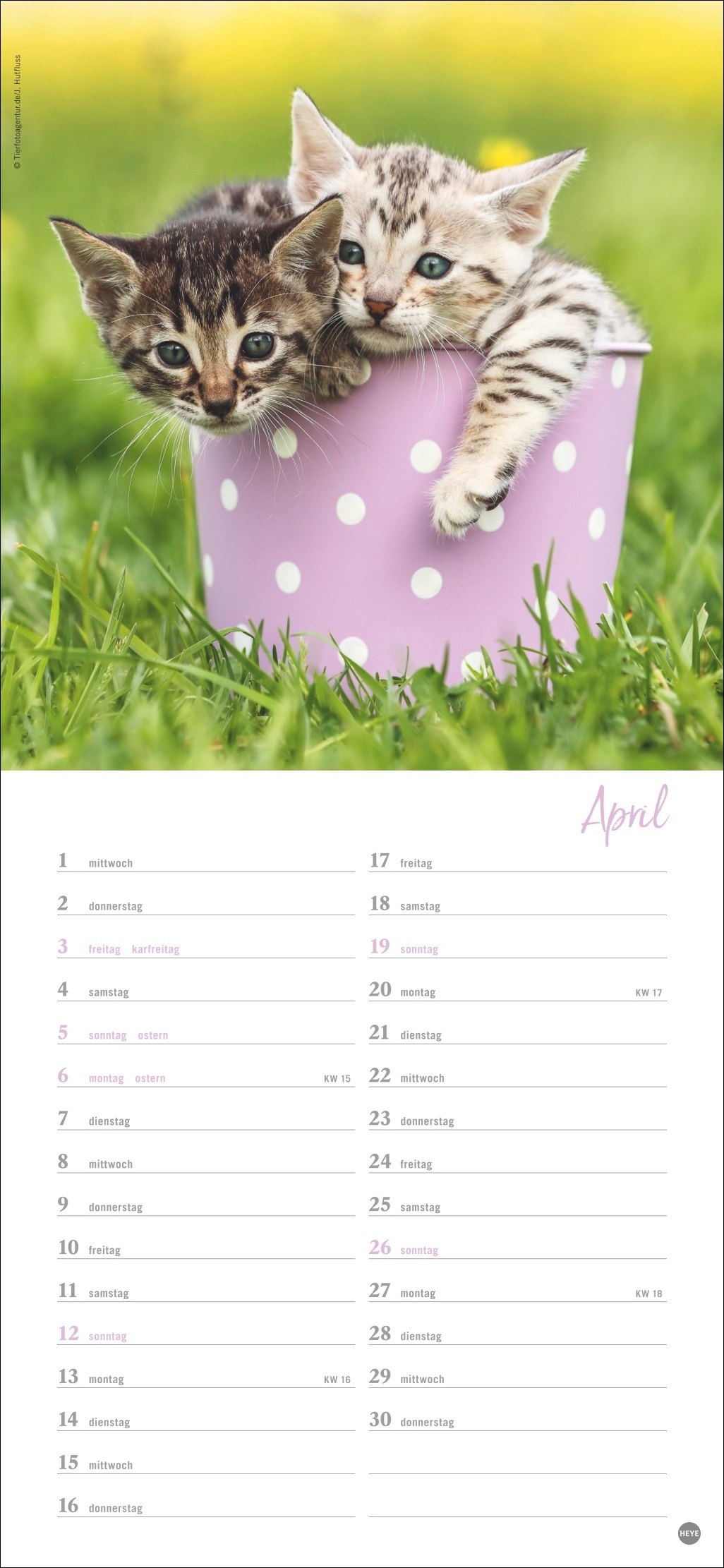 9783756409778_innenansicht_04 9783756409778_innenansicht_04.jpg