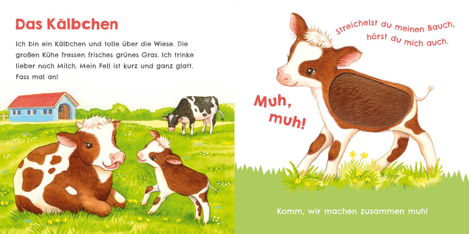 9783551254009_innenansicht_07.jpg