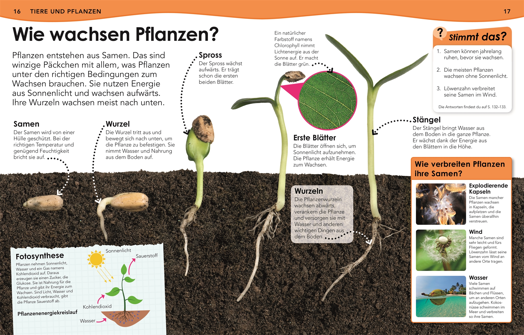 9783831036899_innenansicht_03.jpg