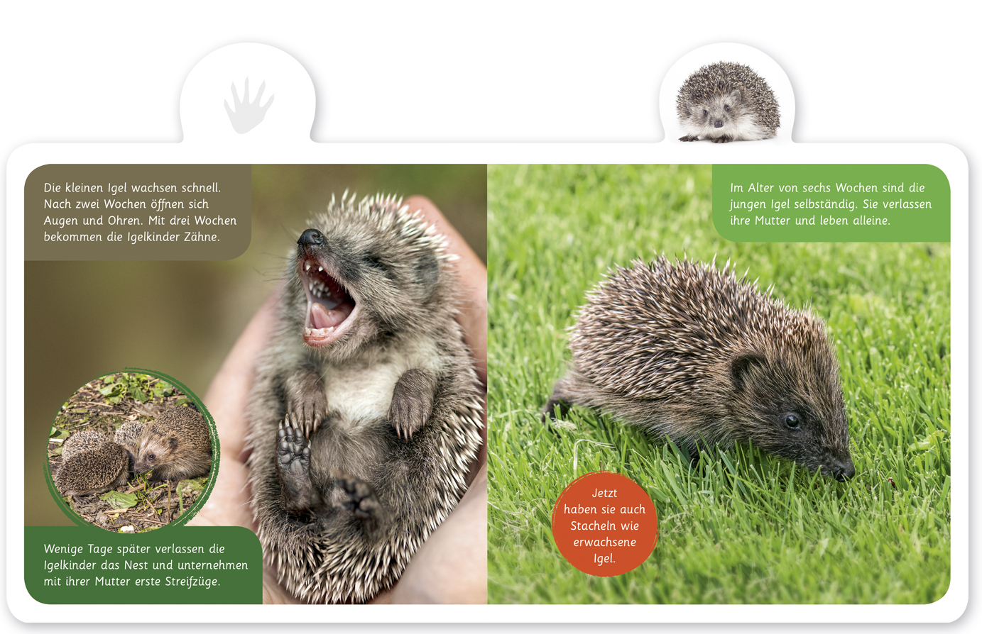 9783946360162_innenansicht_02 9783946360162_innenansicht_02.jpg