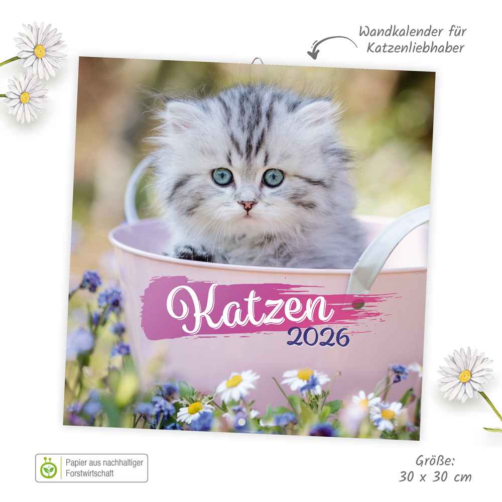 9783988024077_innenansicht_01 9783988024077_innenansicht_01.jpg