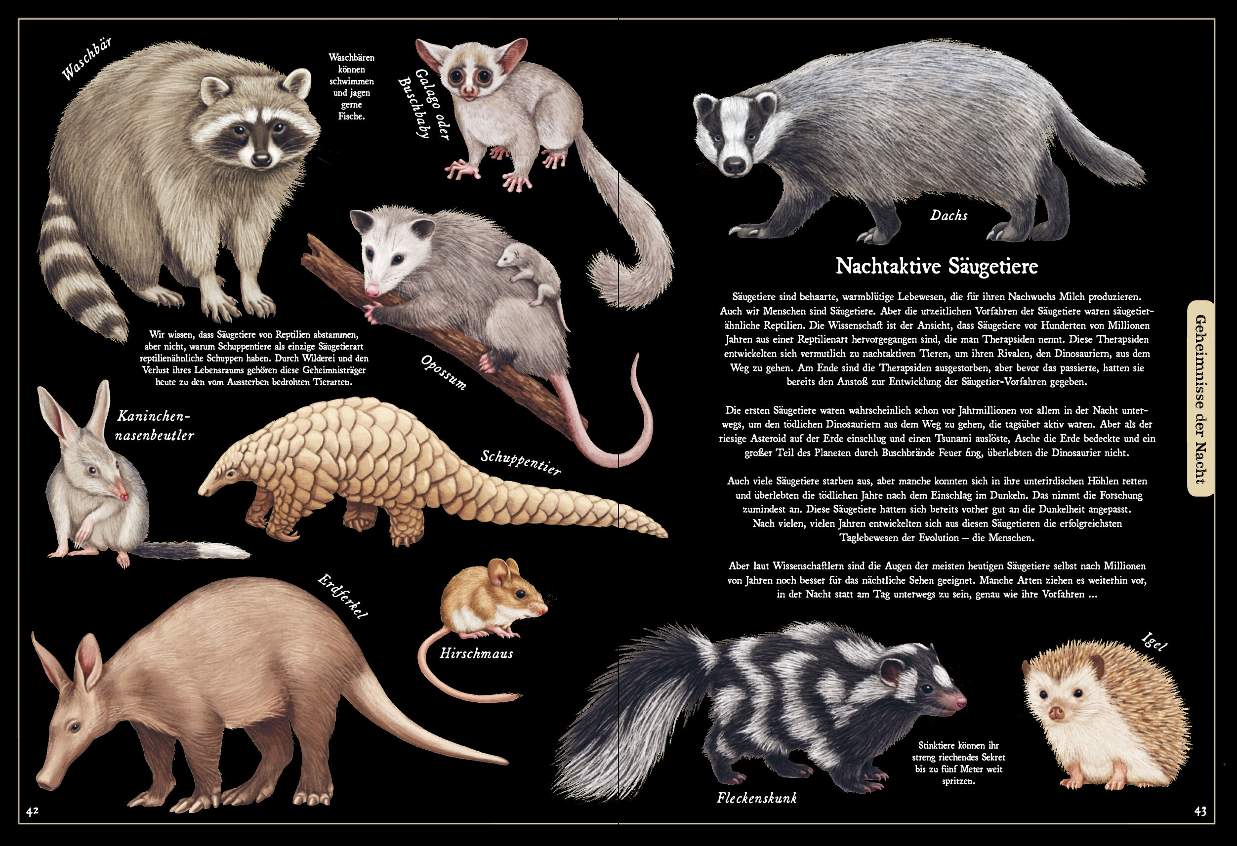 9783791375847_innenansicht_06 9783791375847_innenansicht_06.jpg