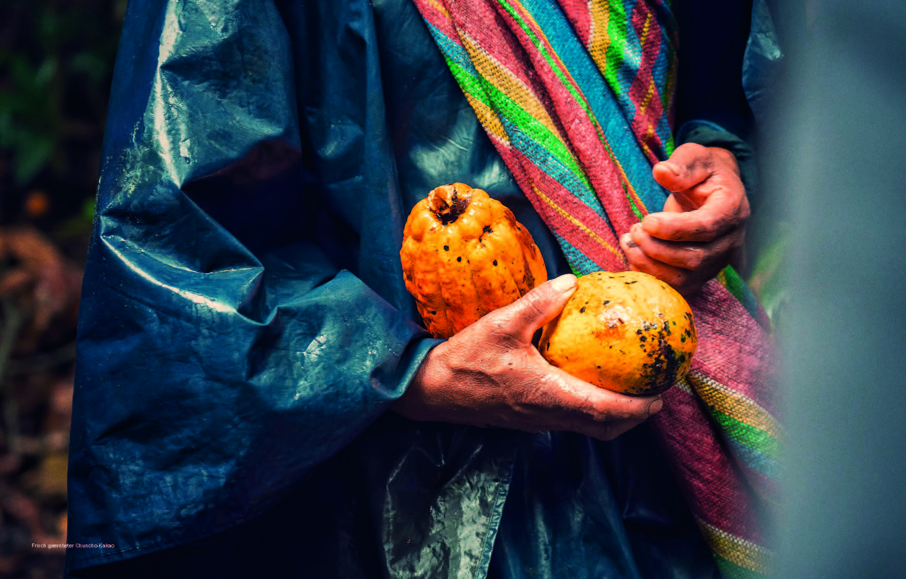 9783985410255_innenansicht_03.jpg 9783985410255_innenansicht_03.jpg