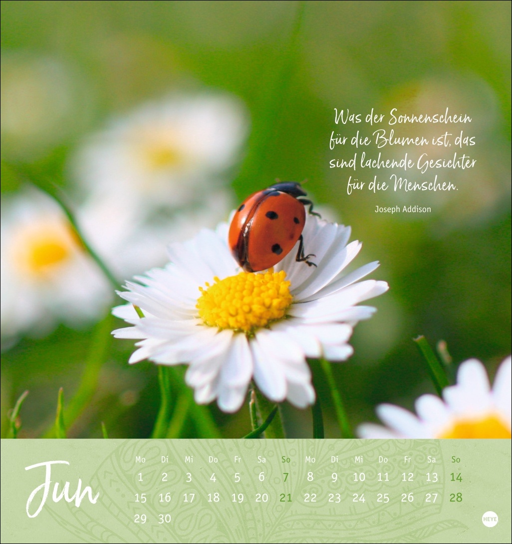 9783756410101_innenansicht_06.jpg