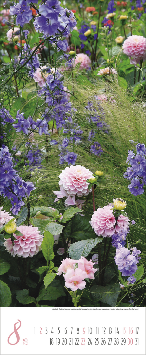 9783731886334_innenansicht_08 9783731886334_innenansicht_08.jpg