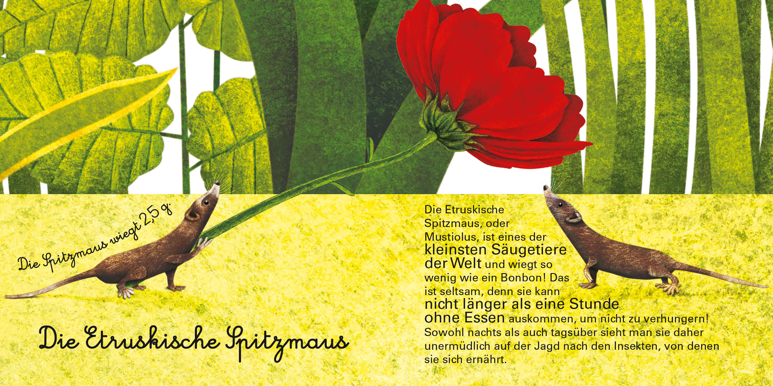 9788863125597_innenansicht_08 9788863125597_innenansicht_08.jpg