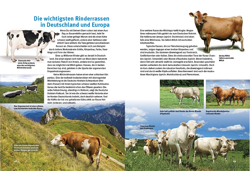 9783866593978_innenansicht_03 9783866593978_innenansicht_03.jpg