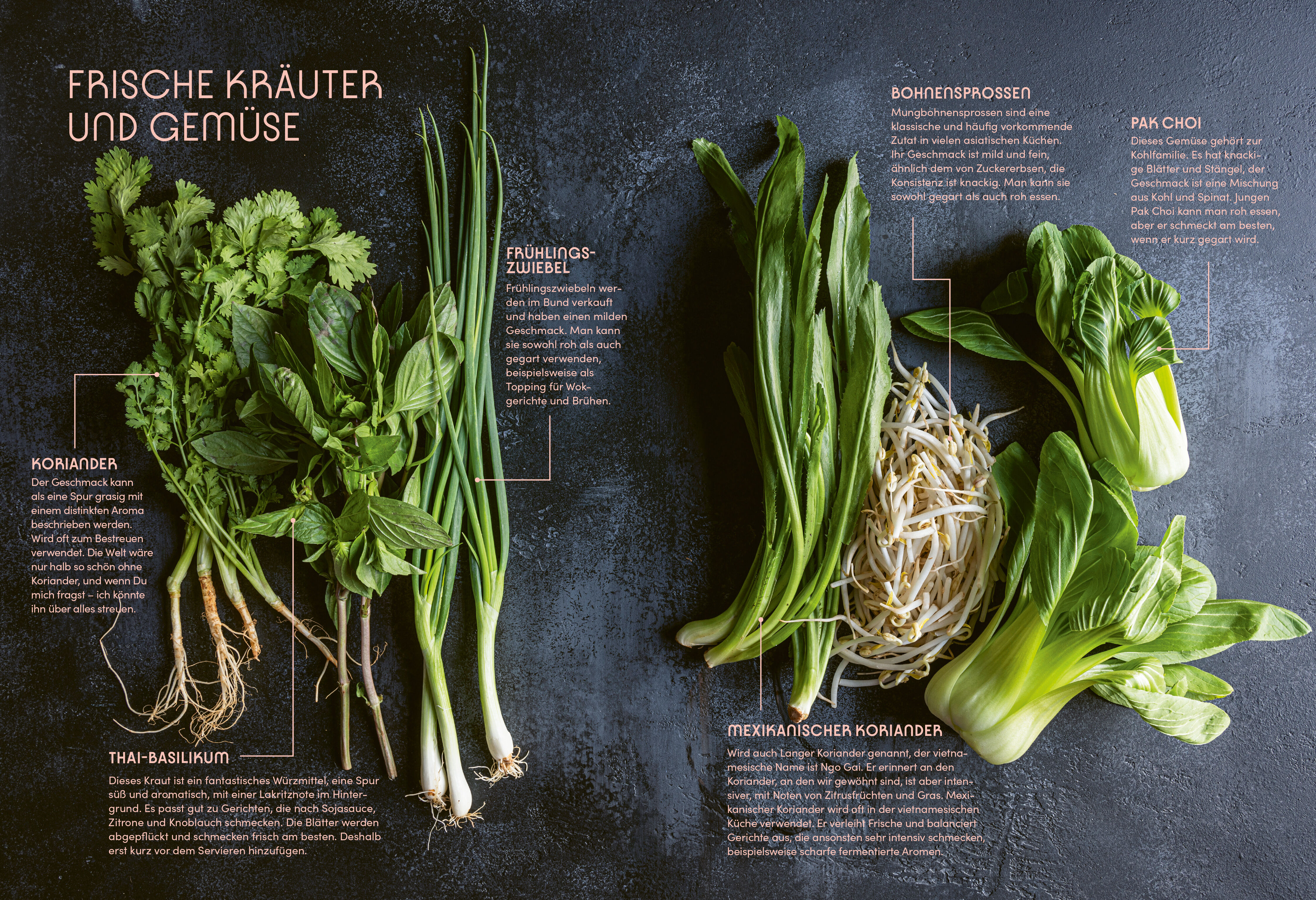 9783965843226_innenansicht_04 9783965843226_innenansicht_04.jpg