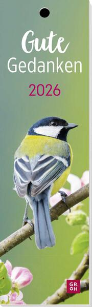 4036442013144 4036442013144