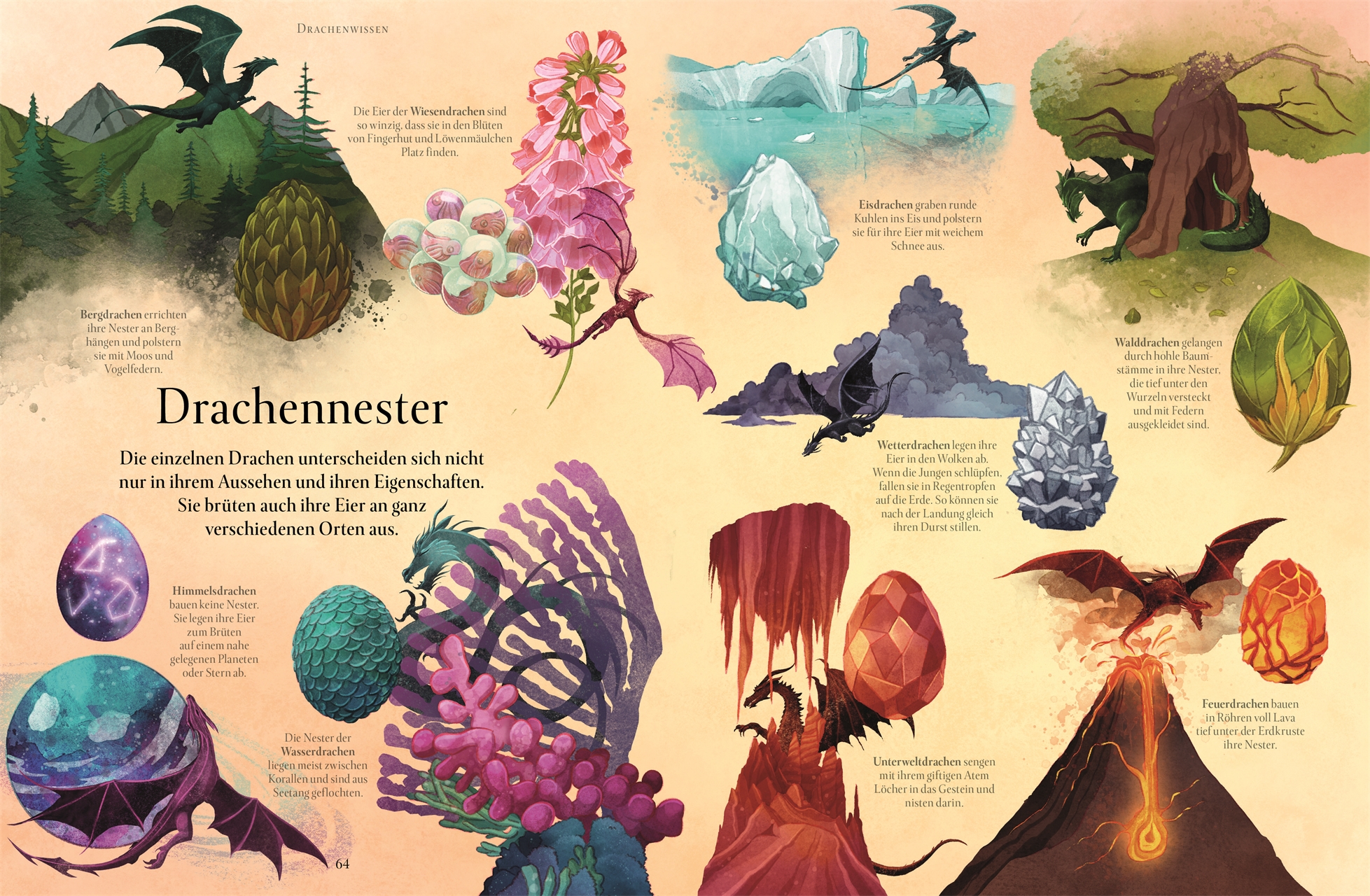 9783831044658_innenansicht_07 9783831044658_innenansicht_07.jpg