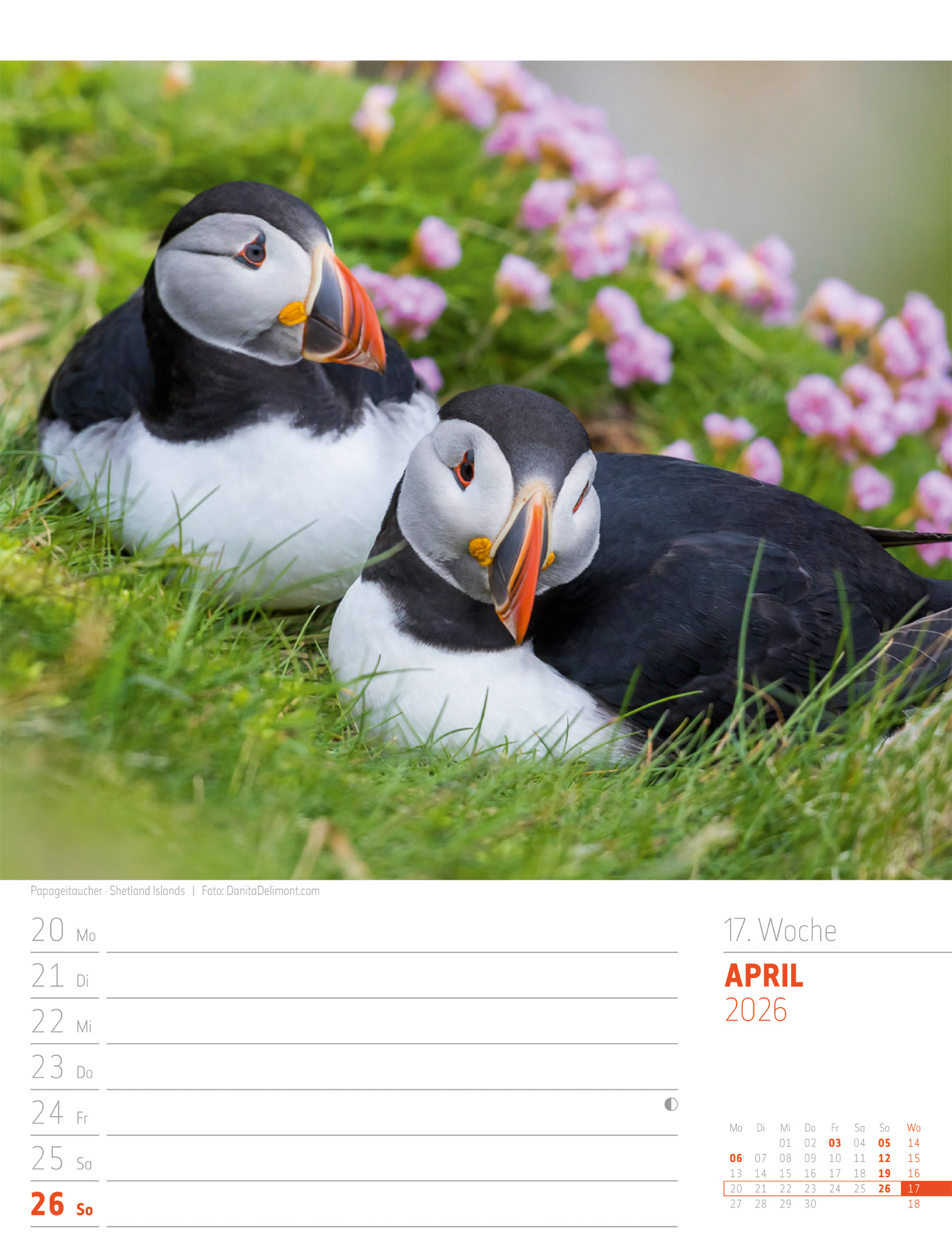9783838426945_innenansicht_20.jpg