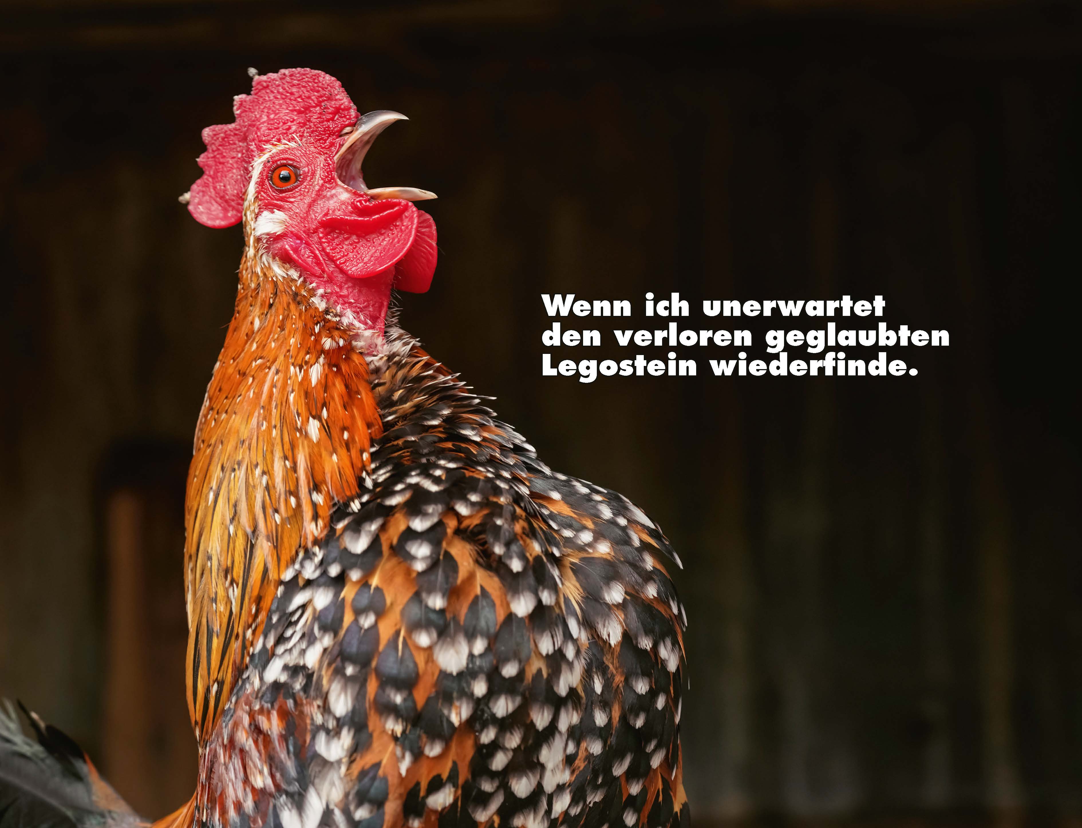 9783966649919_innenansicht_01.jpg